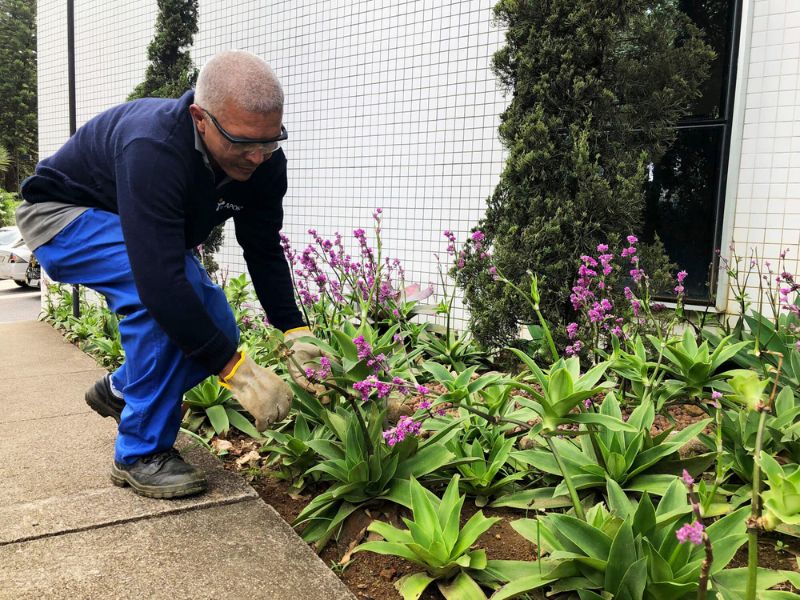 empresa terceirizada de limpeza hospitalar jardinagem jardinagem